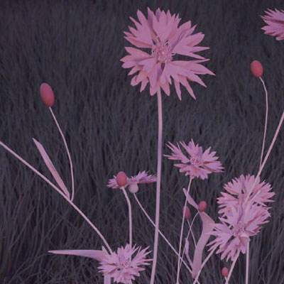 Kaiyun·开云体育下载手机版